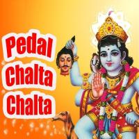 Pedal Chalta Chalta Raju Rawal,Raju Mewadi Song Download Mp3