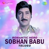 Sarigama Pada Nisa (From "Naa Thammudu") S. P. Balasubrahmanyam,B. Vasantha Song Download Mp3