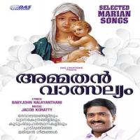 Ayiraam Mezyuthiri Wilson Piravom Song Download Mp3