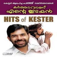 Prarthana Tomy Kozhikode Song Download Mp3