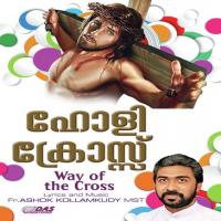 HOLY-Introduction Tomy Kozhikode Song Download Mp3