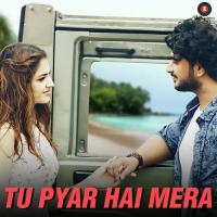 Tu Pyar Hai Mera Gaurav Sharma Song Download Mp3