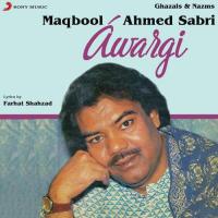 Aaina Tod Diya (Live) Maqbool Ahmed Sabri Song Download Mp3