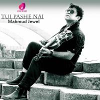 Tui Pashe Nai Mahmud Jewel Song Download Mp3