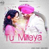 Tu Mileya Kulwinder Kally,Gurlej Akhtar Song Download Mp3