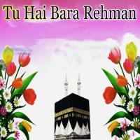 Tu Hai Bara Rehman Yaqoob Ibrahim Naqshbandi Song Download Mp3