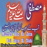 Mustafa Aap Ke Jesa Koi Aaya Hi Nahi Haris Anwar Naqshbandi Song Download Mp3