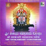 Sri Shakambari Sahasranama Stothram Bangalore Sisters Song Download Mp3