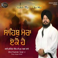 Tu Mero Pyaro Bhai Rupinder Singh Ji Song Download Mp3