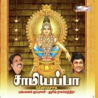 Varungal Swamigale Harish Raghavendra Song Download Mp3