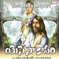 Dhutulama Jayasree Song Download Mp3