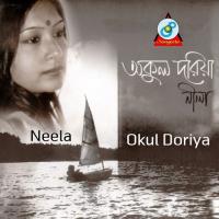 Nobigee Chilen Amar Neela Song Download Mp3