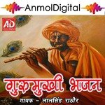 Jini Jini Ude Re Gulal Lalsinh Rathore Song Download Mp3