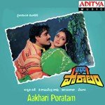 Eppudu Eppudu K. S. Chithra,S.P. Balasubrahmanyam Song Download Mp3