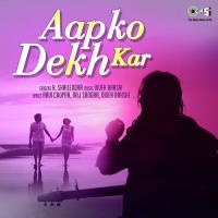 Aap Ko Dekh Kar K. Shailendra Song Download Mp3