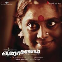 Indha Vaan Veli (Flute)  Song Download Mp3