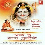 Maine Jyoti Jalaai Shiv Ke Naam Ki Bela Sulakhe Song Download Mp3