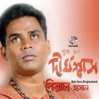 Tomar Jonno Pial Hasan Song Download Mp3