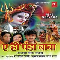 Dheenchal Ekdam Cheelam Chadhake Radheshyam Rasiya Song Download Mp3