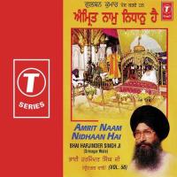 Main Baori Mera Ram Bhataar Bhai Harjinder Singh Ji (Srinagar Wale) Song Download Mp3