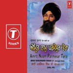 Amrit Naam Parmesar Tera Bhai Harjinder Singh Ji (Srinagar Wale) Song Download Mp3