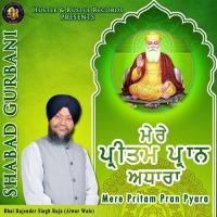 Mere Pritam Pran Pyara Bhai Rajender Singh Raja Song Download Mp3