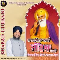 Naam Bina Nahi Jeevya Jaye Bhai Rajender Singh Raja Song Download Mp3