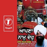 Apna Naam Deho Bhai Surinder Singh Ji (Jodhpuri) Song Download Mp3