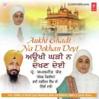 Mera Vaid Guru Gobinda Prof. Kamaljit Kaur Song Download Mp3