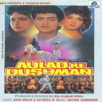 Main Tera Deewana Kumar Sanu,Sadhna,Alka Song Download Mp3