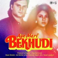 Aye Meri Bekhudi Anuradha Paudwal,Udit Narayan Song Download Mp3