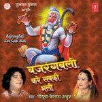 Anjani Ko Laal Niralo Re Kailash Anuj,Piyusha Song Download Mp3