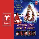 Pawan Hai Dham Javed Ali,Tulsi Kumar,Debashish Dasgupta,Rekha Rao,Shailendra Bharti,Upender Verma,Shivani Chanana Song Download Mp3