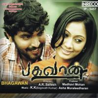 Minnal Minnum Karthik,Chinmayi Sripada Song Download Mp3