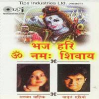 Dhyan Karo Tum Shish Naway Alka Yagnik,Babul Supriyo Song Download Mp3