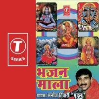 Her Her Gange Manoj Tiwari Song Download Mp3