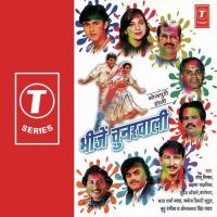 Rang Barse Bheeje Chunarwali(Silsila) Sudesh Bhonsle Song Download Mp3