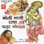 Main Radha Se Mohan Ban Gai Anuradha Paudwal Song Download Mp3