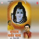 Meri Goraji Maiya Vijay Soni Song Download Mp3