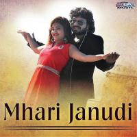 Gurmi Ka Sawa Narayan Maghwans Song Download Mp3