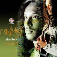 Adom Hawa Pantho Kanai Song Download Mp3