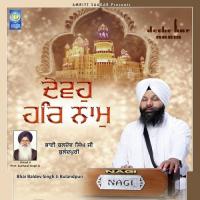 Madho Satsangat Saran Tumhari Bhai Baldev Singh Ji Bulandpuri Song Download Mp3