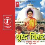 Trisaran Udharti Milind Shinde Song Download Mp3