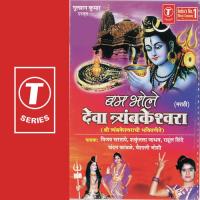 Shambhu Basle Kailasavri Vijay Sartape Song Download Mp3