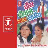 Peechhu Peechhu Ayabaua Hum Sunil Chhaila Bihari,Tripti Shakya Song Download Mp3