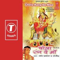 Tere Darshan Karne Aaye Jai Prakash Bajpai,Sanjeev Tiwari Song Download Mp3