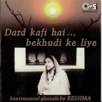 Dil Jalane Ki Baat Karte Ho Reshma Song Download Mp3