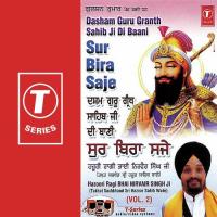 Na Singh Houn Na Seyar Ho Bhai Nirvair Singh Ji Song Download Mp3