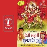 Nache Le Bhakt Kuwarava Mein Anamika Singh Song Download Mp3