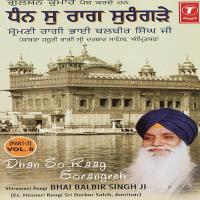 Beet Jehen Beet Jehen Janam Akaaj Re Bhai Balbir Singh-Amritsar Wale Song Download Mp3